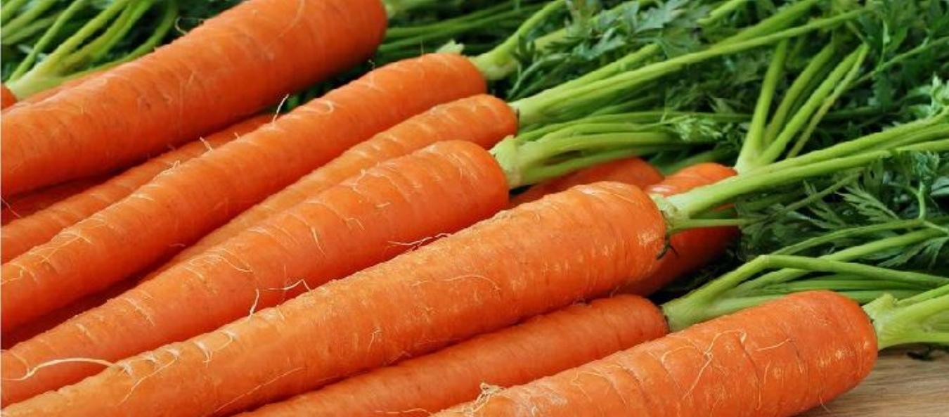 Carrot Smoothie Recipe
