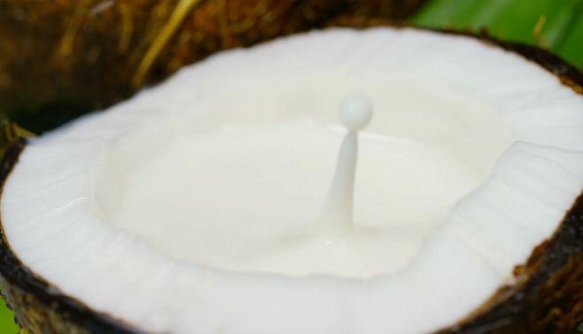 Coconut Milkshake Recipe